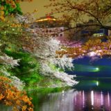 【フリーBGM】ライトアップされていた綺麗な夜桜/盛り上がりのあるとても切ない曲