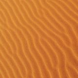 【フリーBGM】アフリカの砂漠を歩く/砂原を歩くようなファンキーな曲